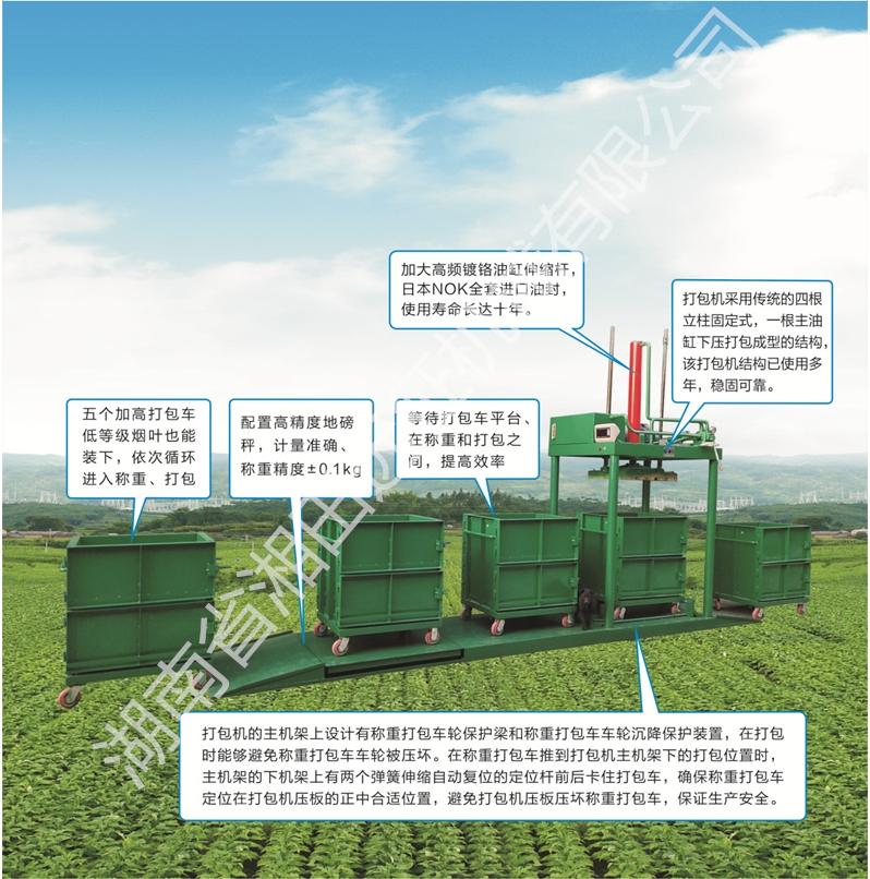 竞技宝
